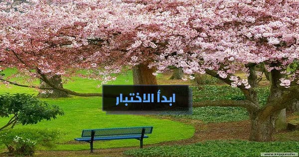 أبيات شعر من قائلها ؟