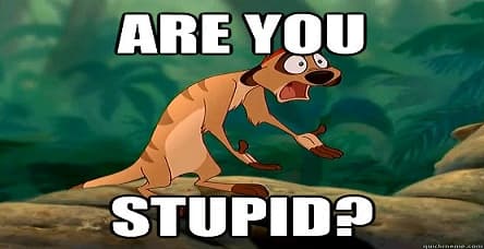 Are You Stupid ??