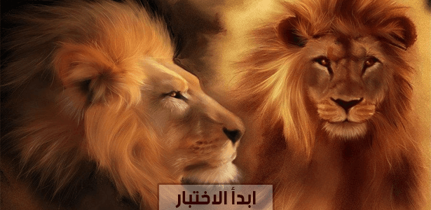 إختبر معلوماتك عن الأسود.