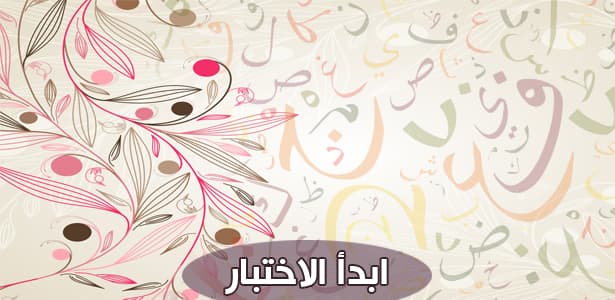 اختبار معاني الكلمات العربية