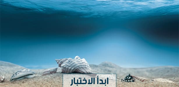 ماذا تعرف عن عالم البحار؟
