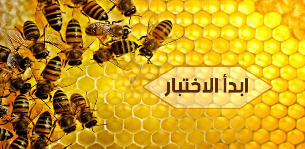 ماذا تعرف عن مملكة النحل؟