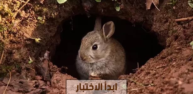 ماذا تعرف عن أسماء بيوت الحيوانات ؟