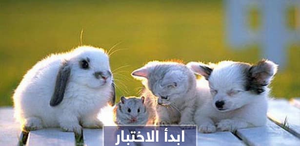 ماذا تعرف من أسماء صغار تلك الحيوانات؟