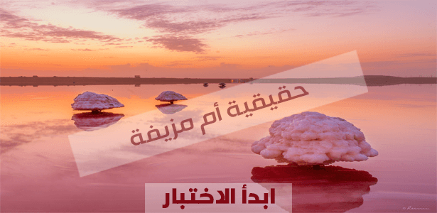 هل الصورة حقيقة أم خيال؟