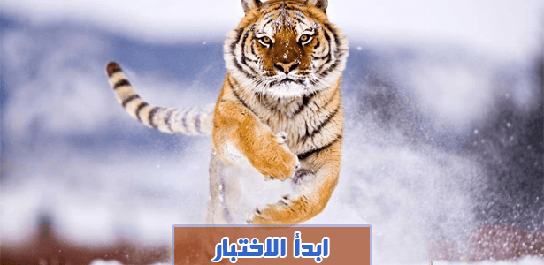 هل تعرف أي حيوان يشبه شخصيتك ؟ جرّب هذا الإختبار لكي تعرف.