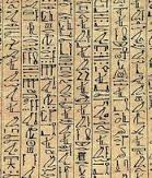 اللغة المصرية القديمة هي اللغة ؟