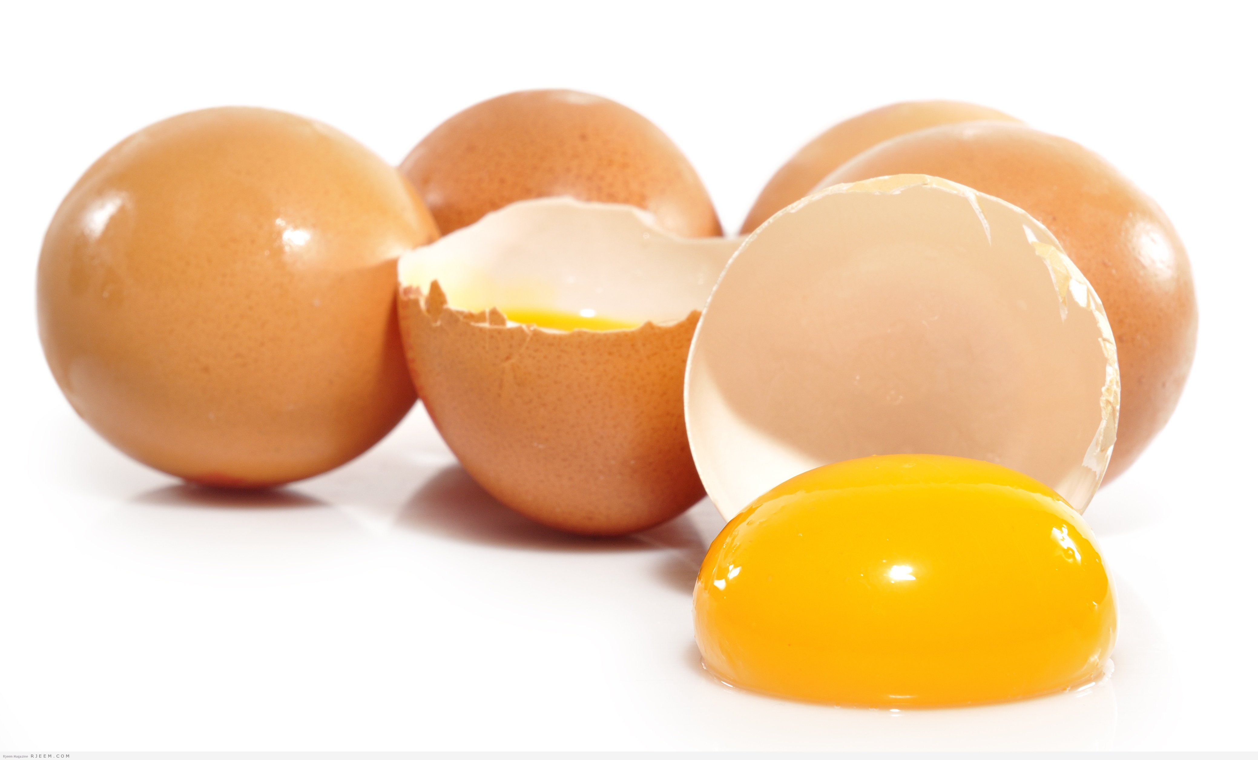 ما هي فوائد وأضرار البيض