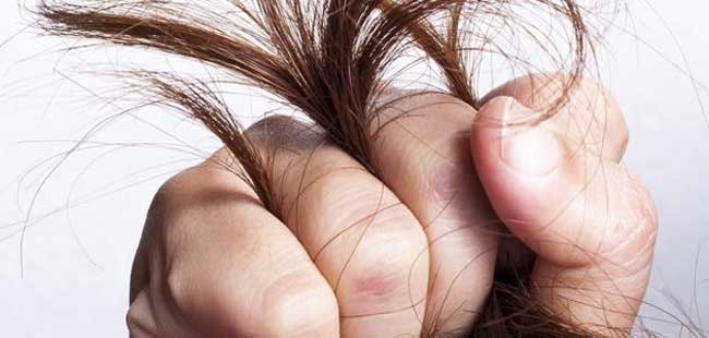 العوامل التى تؤثر على كثافة الشعر
