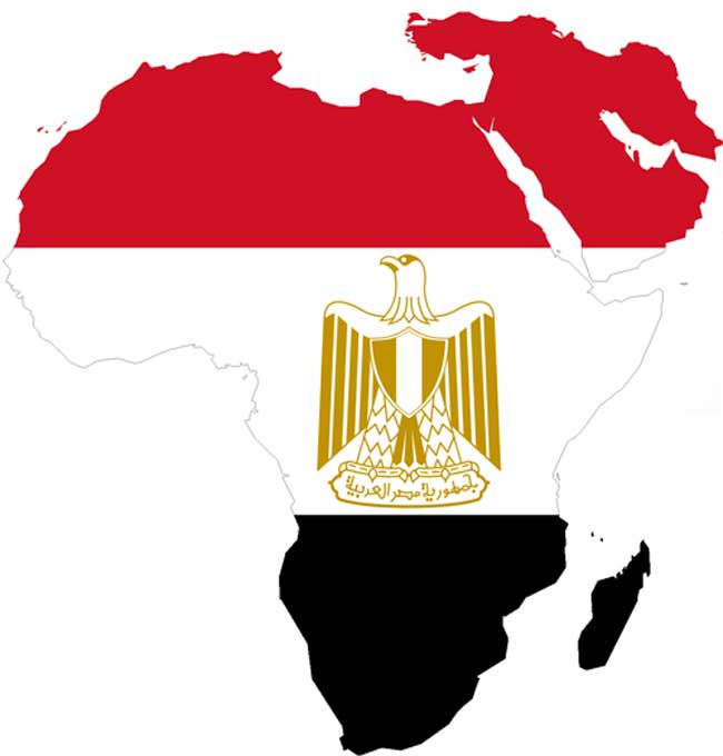 عقود السياحة الإدارية في مصر